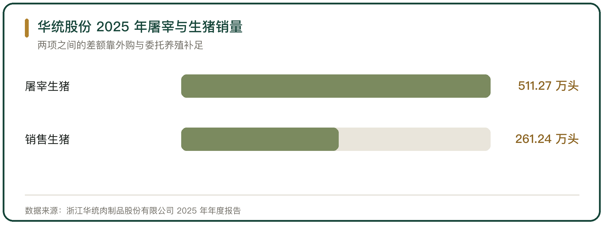 华统股份 2025 年屠宰与生猪销量