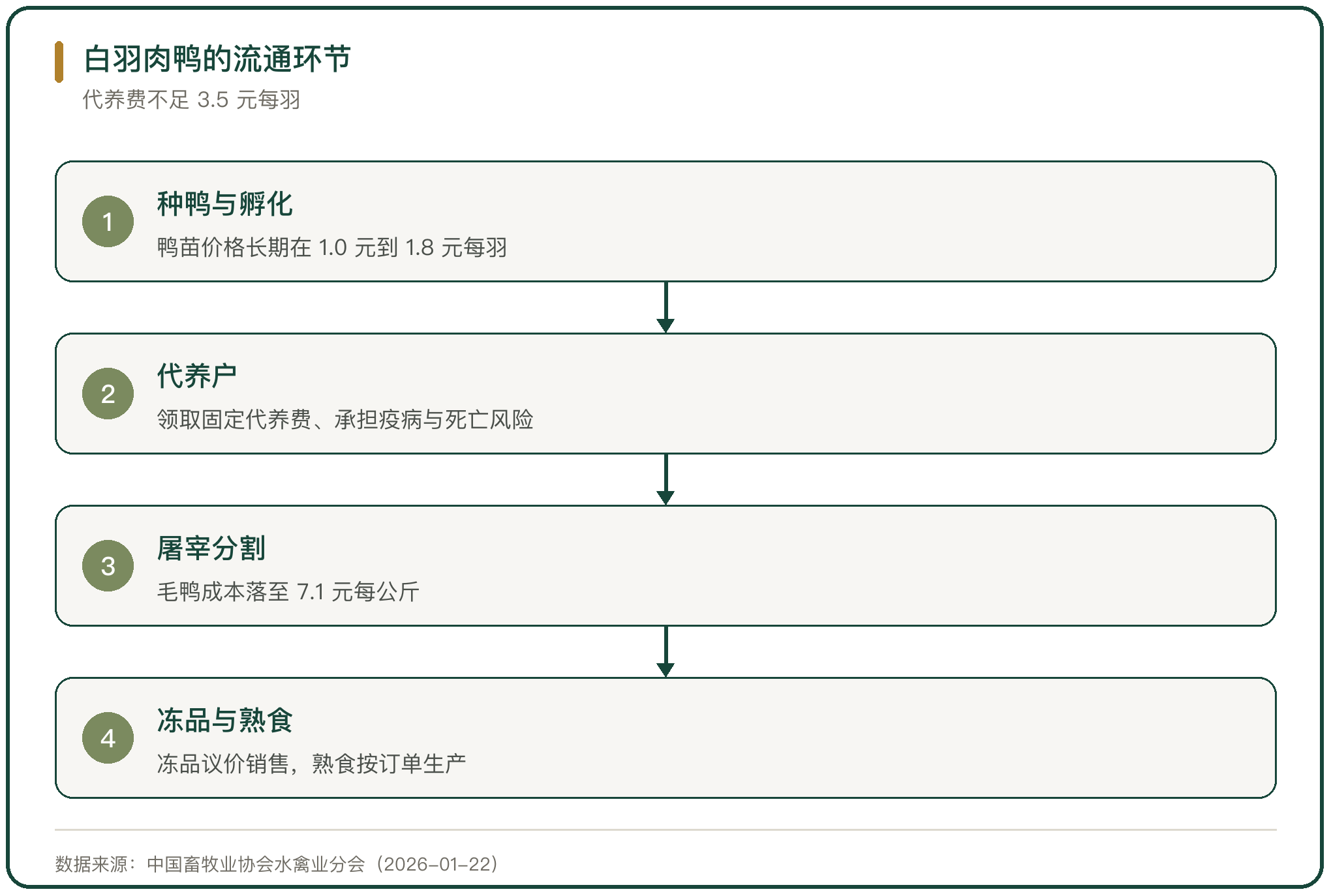 白羽肉鸭的流通环节