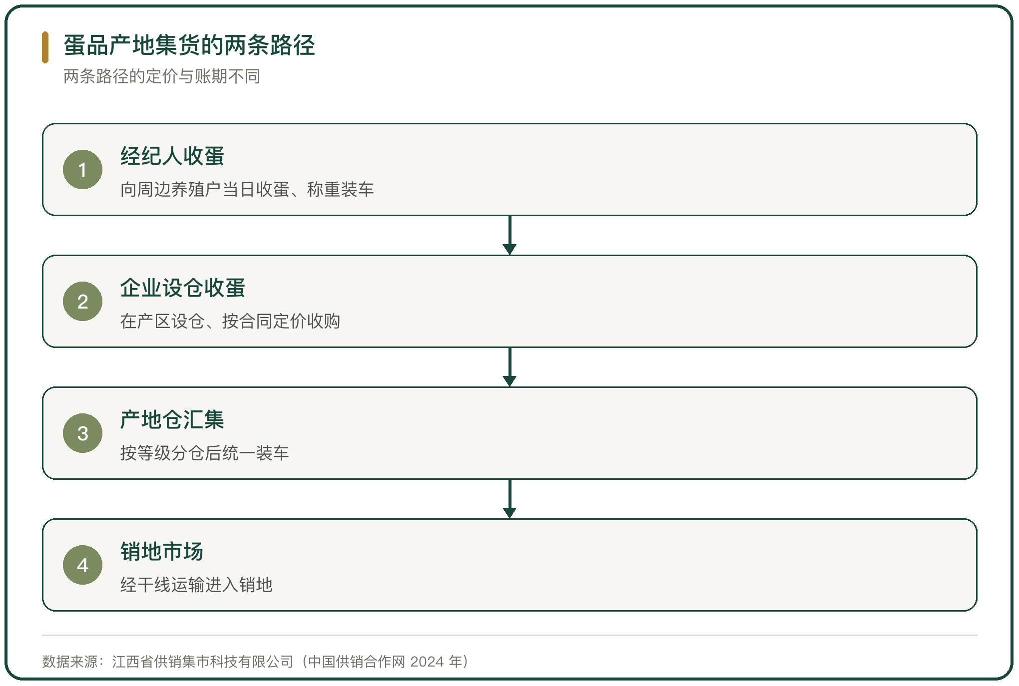 蛋品产地集货的两条路径