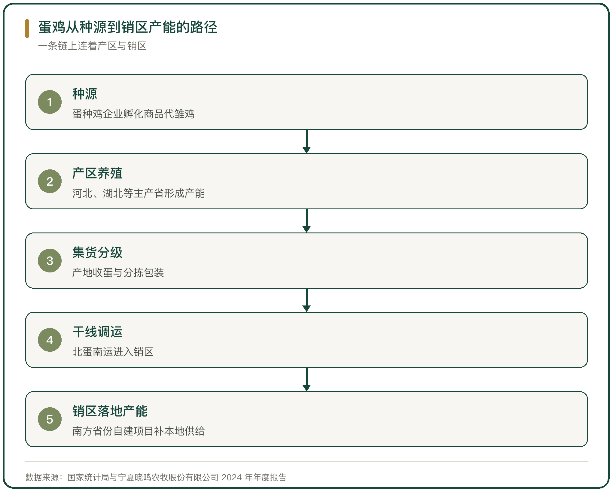蛋鸡从种源到销区产能的路径