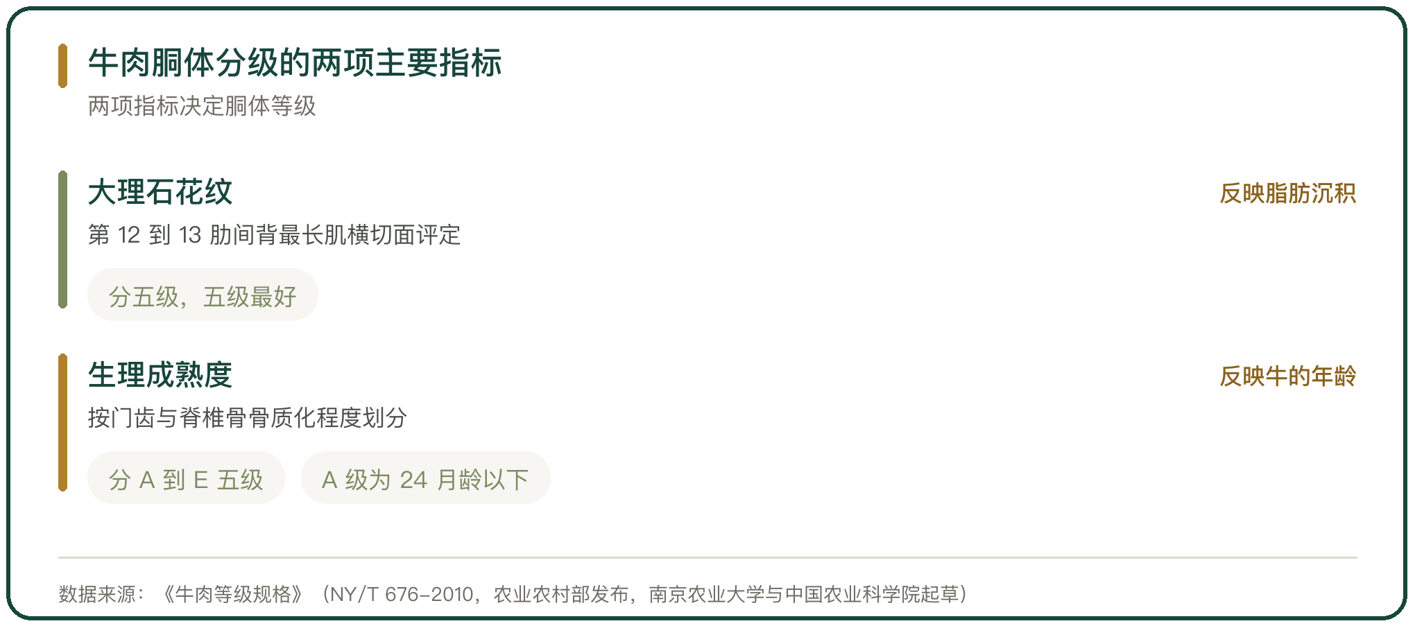牛肉胴体分级的两项主要指标