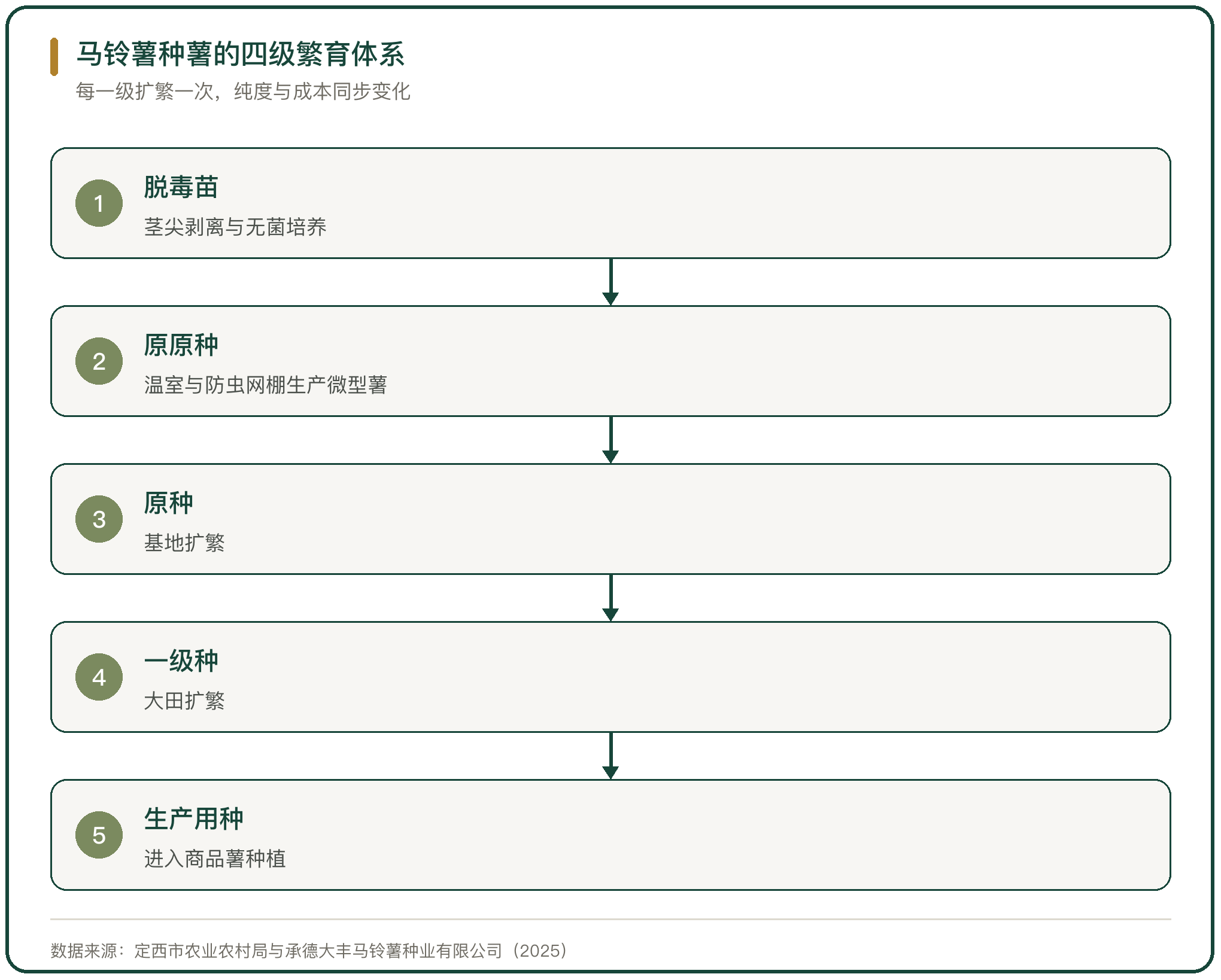 马铃薯种薯的四级繁育体系