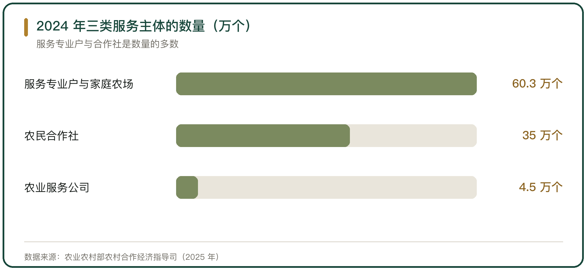 2024 年三类服务主体的数量（万个）