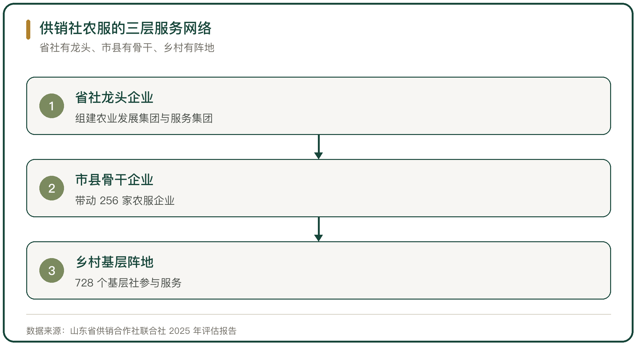 供销社农服的三层服务网络
