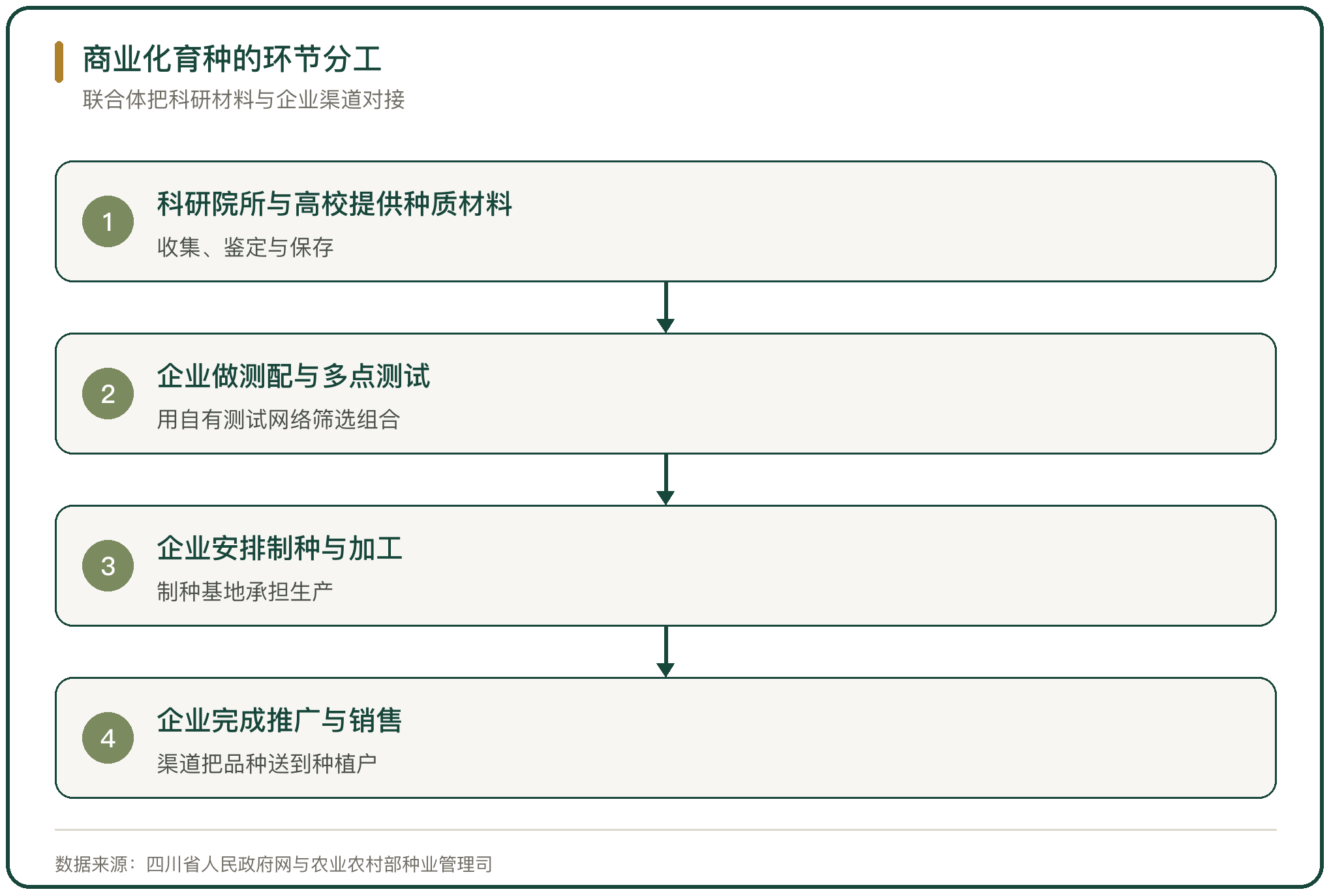 商业化育种的环节分工
