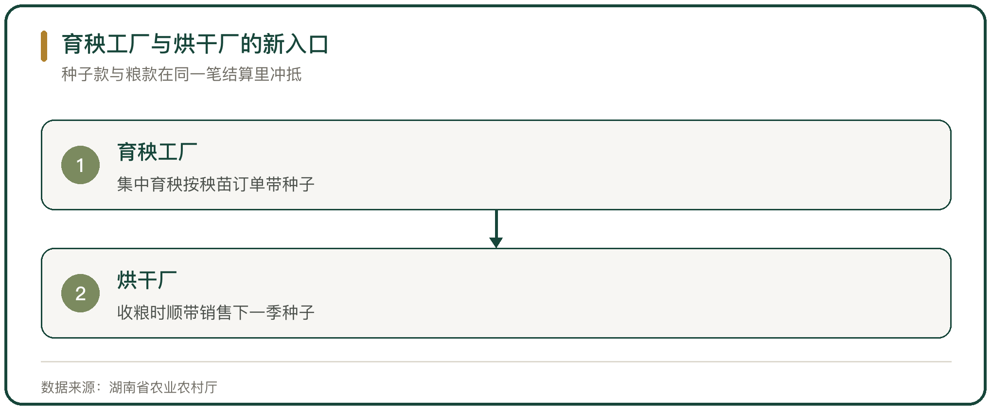 育秧工厂与烘干厂的新入口
