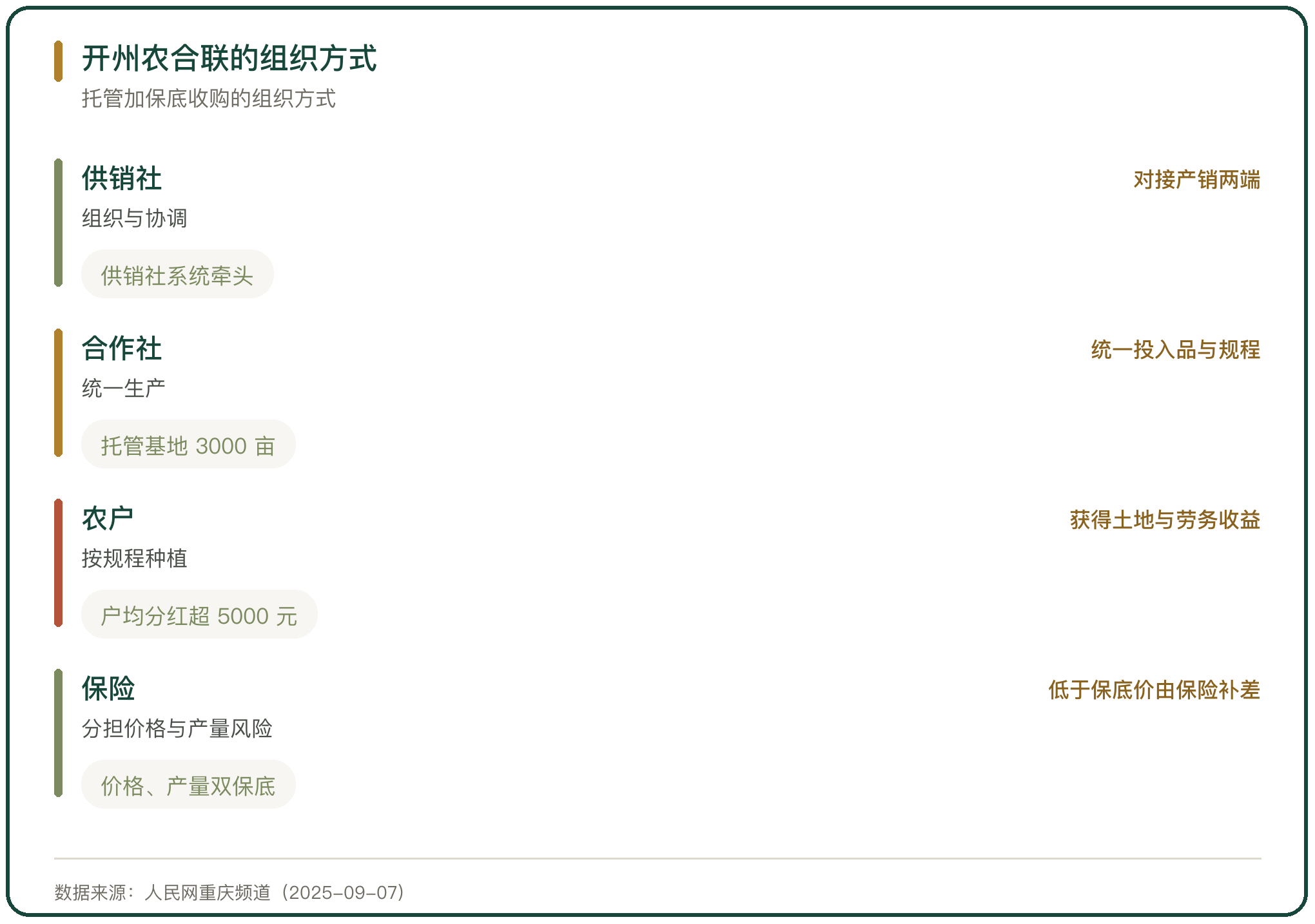 开州农合联的组织方式