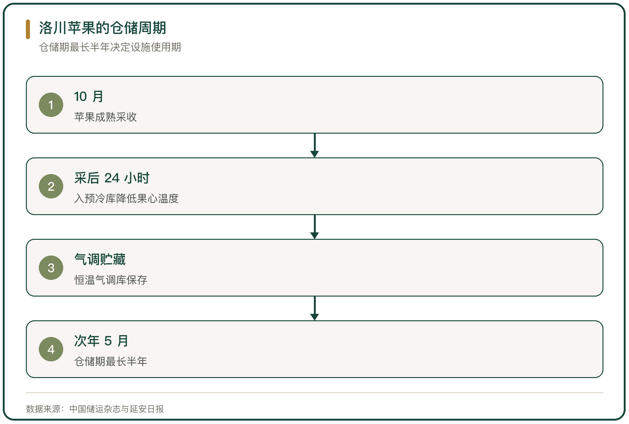 洛川苹果的仓储周期