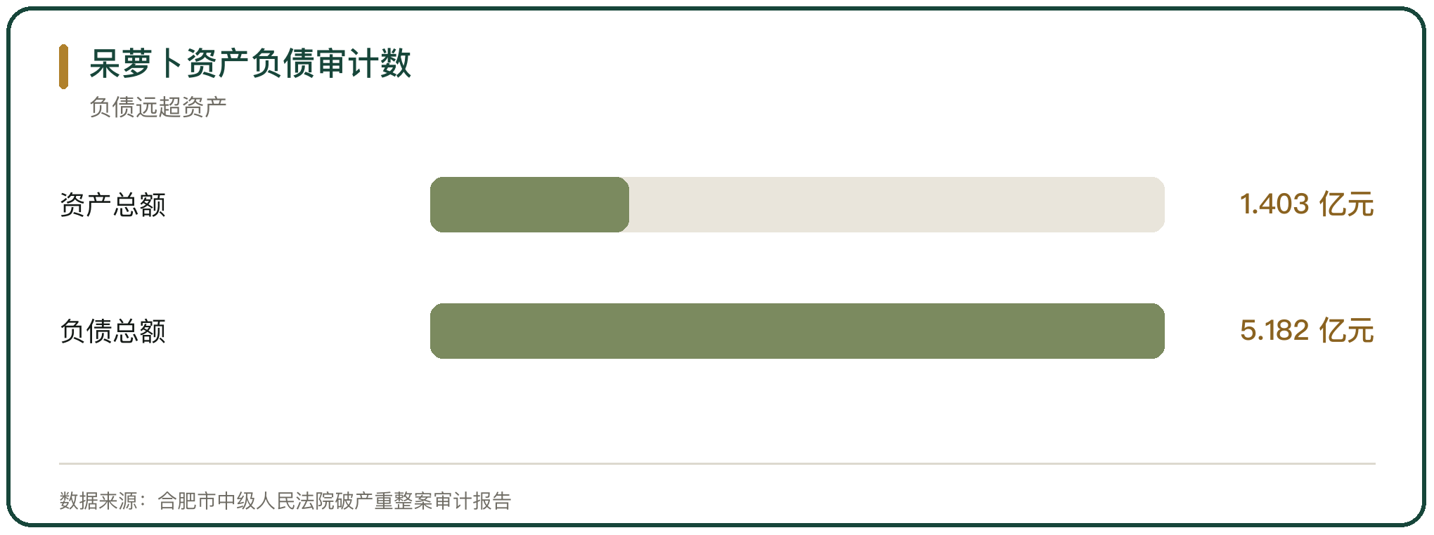 呆萝卜资产负债审计数