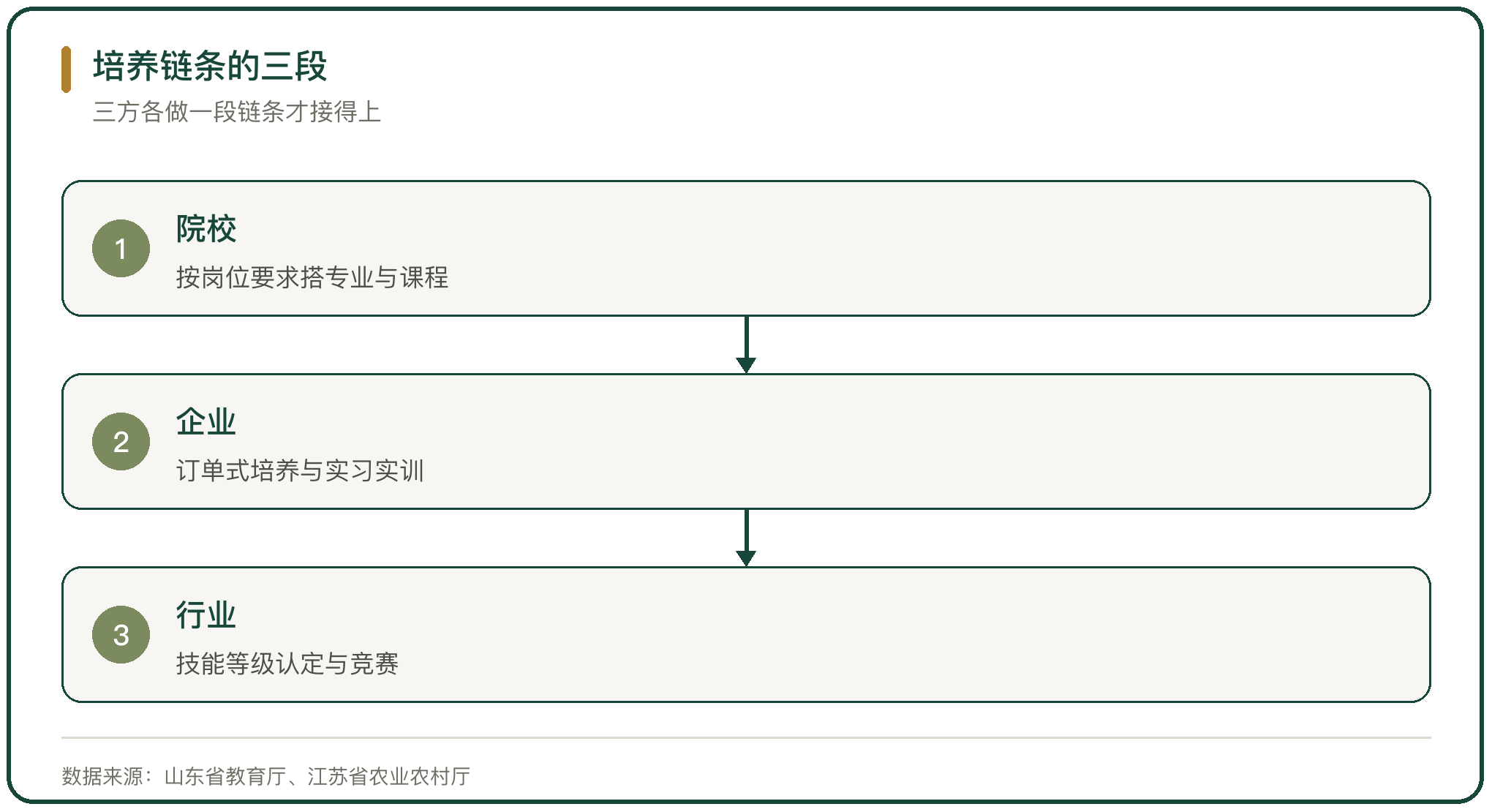 培养链条的三段