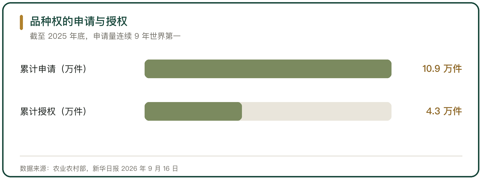 品种权的申请与授权