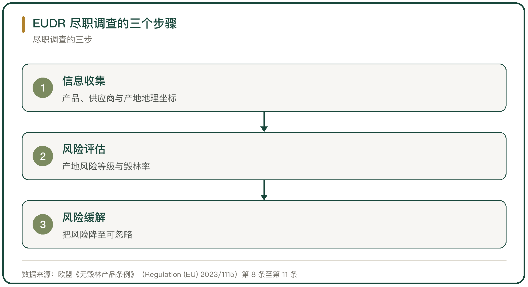 EUDR 尽职调查的三个步骤